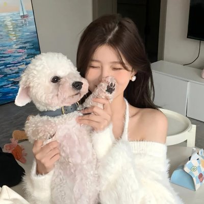 派特森与芬达猫4