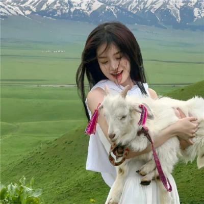 迷失的一群